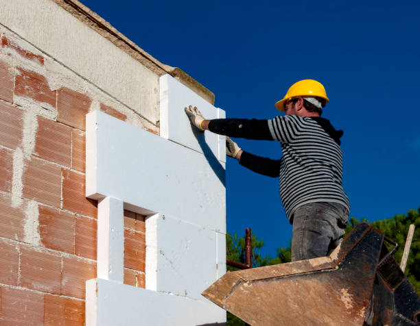 Best Residential Insulation Services  in Buhl, MN