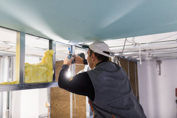 Best Garage Insulation Installation  in Buhl, MN