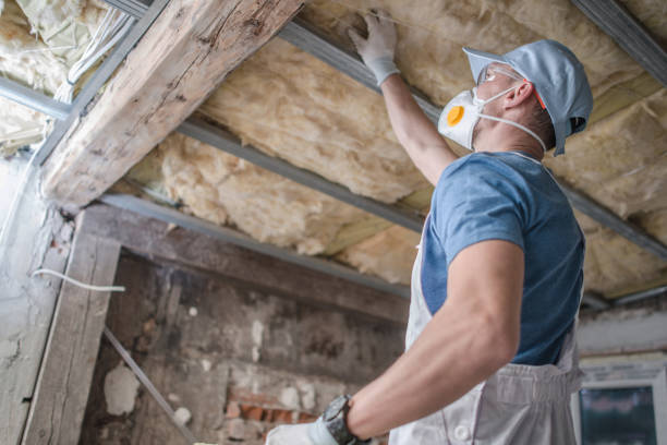 Insulation Repair Services in Buhl, MN