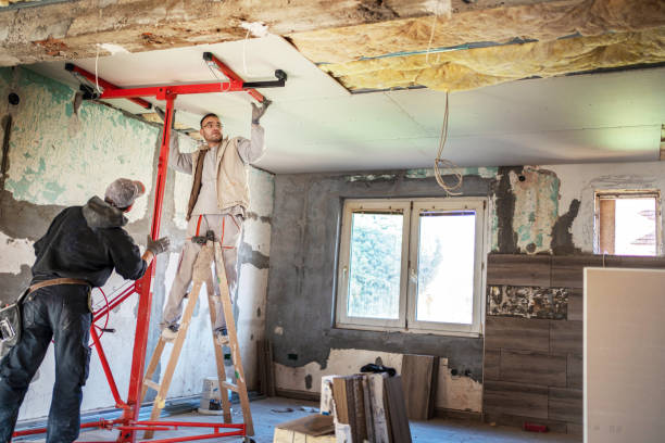 Best Cellulose Insulation  in Buhl, MN