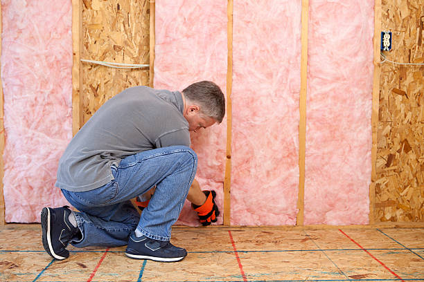 Professional Insulation Contractor in Buhl, MN