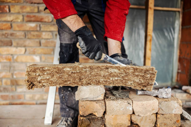 Best Home Insulation Services  in Buhl, MN