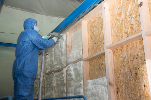 Best Insulation for New Construction  in Buhl, MN